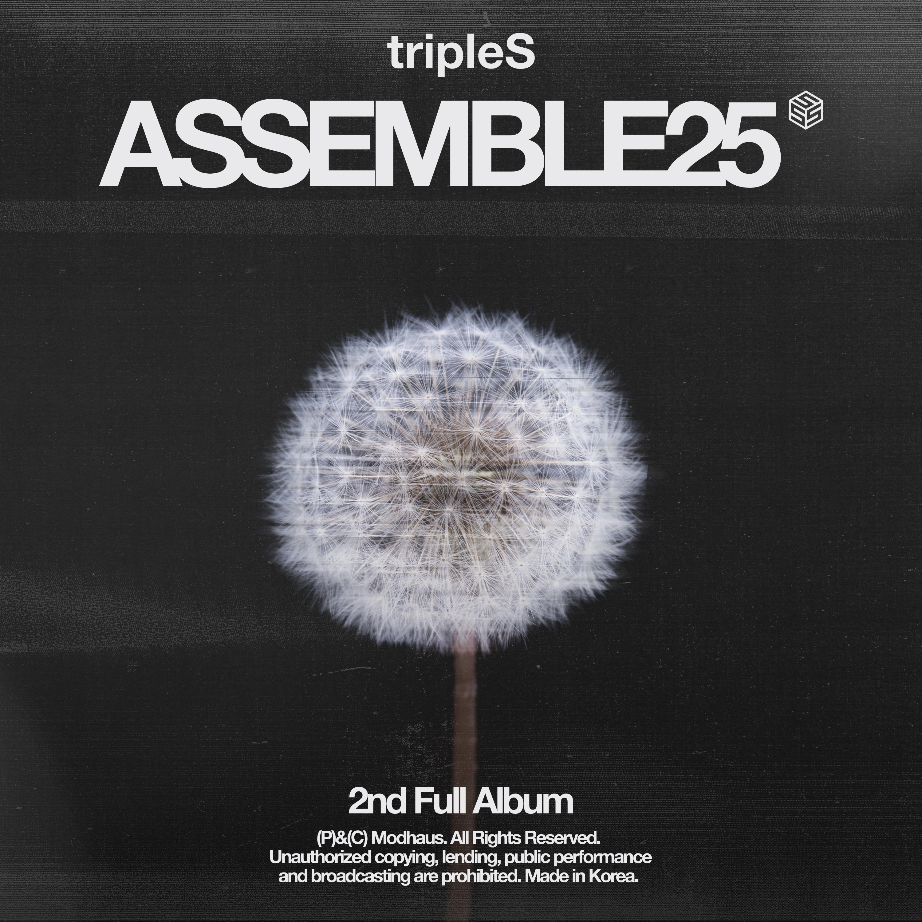 image of a white dandelion on a textured black background, with the words tripleS and ASSEMBLE25 at the top